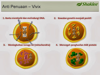 Vivix Melambatkan Penuaan Pada Tahap SELLULAR!