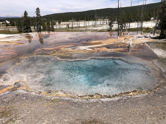 Lower Geyser Basin