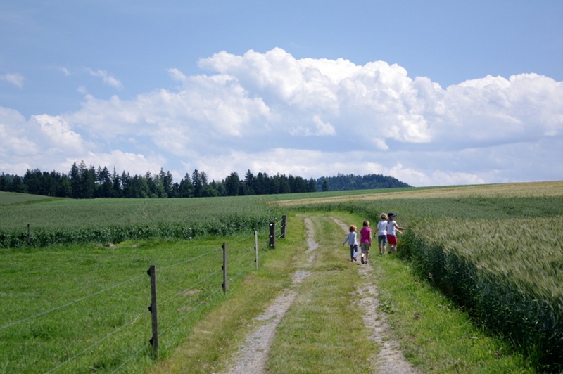 IMGP4973