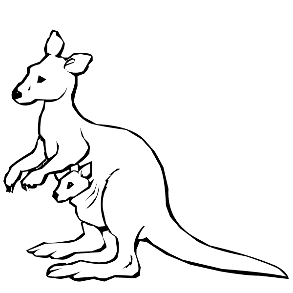 Animal Coloring : Kangaroo Coloring Pages Kids