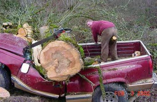 chopping down trees. when cutting down trees.