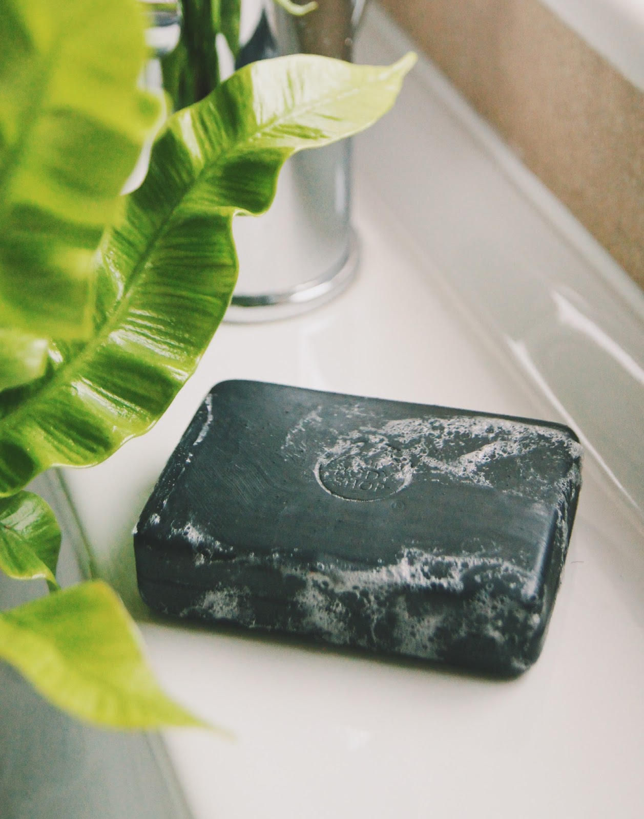 The Body Shop Himalayan Charcoal Review The Rose Glow