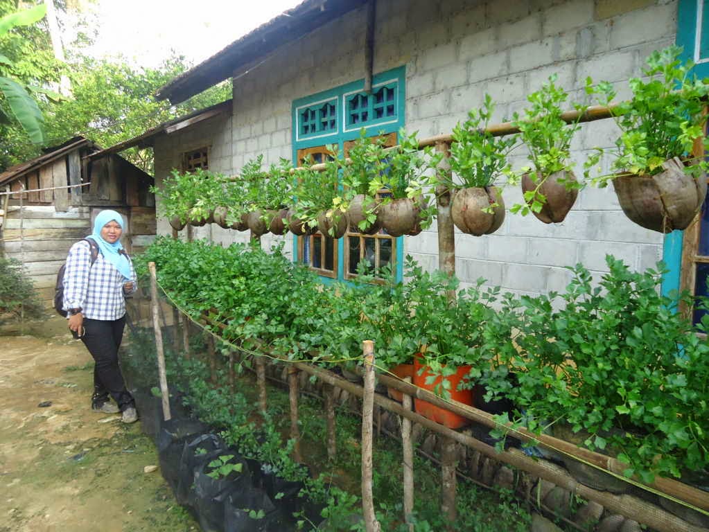 Oyie Penyuluh Pertanian: PEMANFAATAN PEKARANGAN