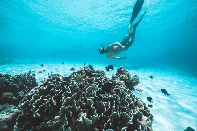 Crystal Clear Snorkeling at Gili Trawangan Beach