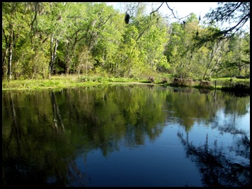 Checking out Ichetucknee Springs SP 278