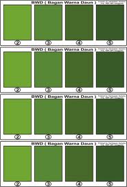 All about GREEN macam macam warna hijau All about GREEN macam macam warna hijau
