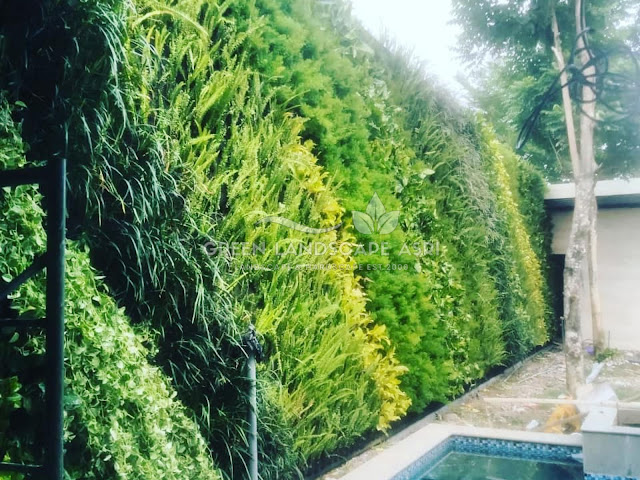 Jasa Vertical Garden Ponorogo - Pasang Taman Vertikal Berkualitas