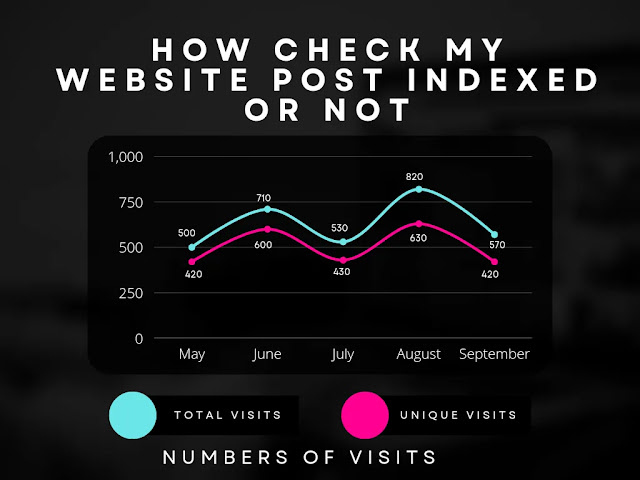 How to check my website is indexed or not?