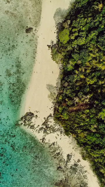 Foto de Drone, Mar, Praia, Floresta