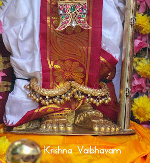 MadhaPurppadu,Thai,Ekadesi,Vaibhavam,Dharisanam, Sri PArthasarathy Perumal, Perumal, Venkata Krishna , Varushotsavam, 2018, Video, Divya Prabhandam,Triplicane,Thiruvallikeni,Utsavam,