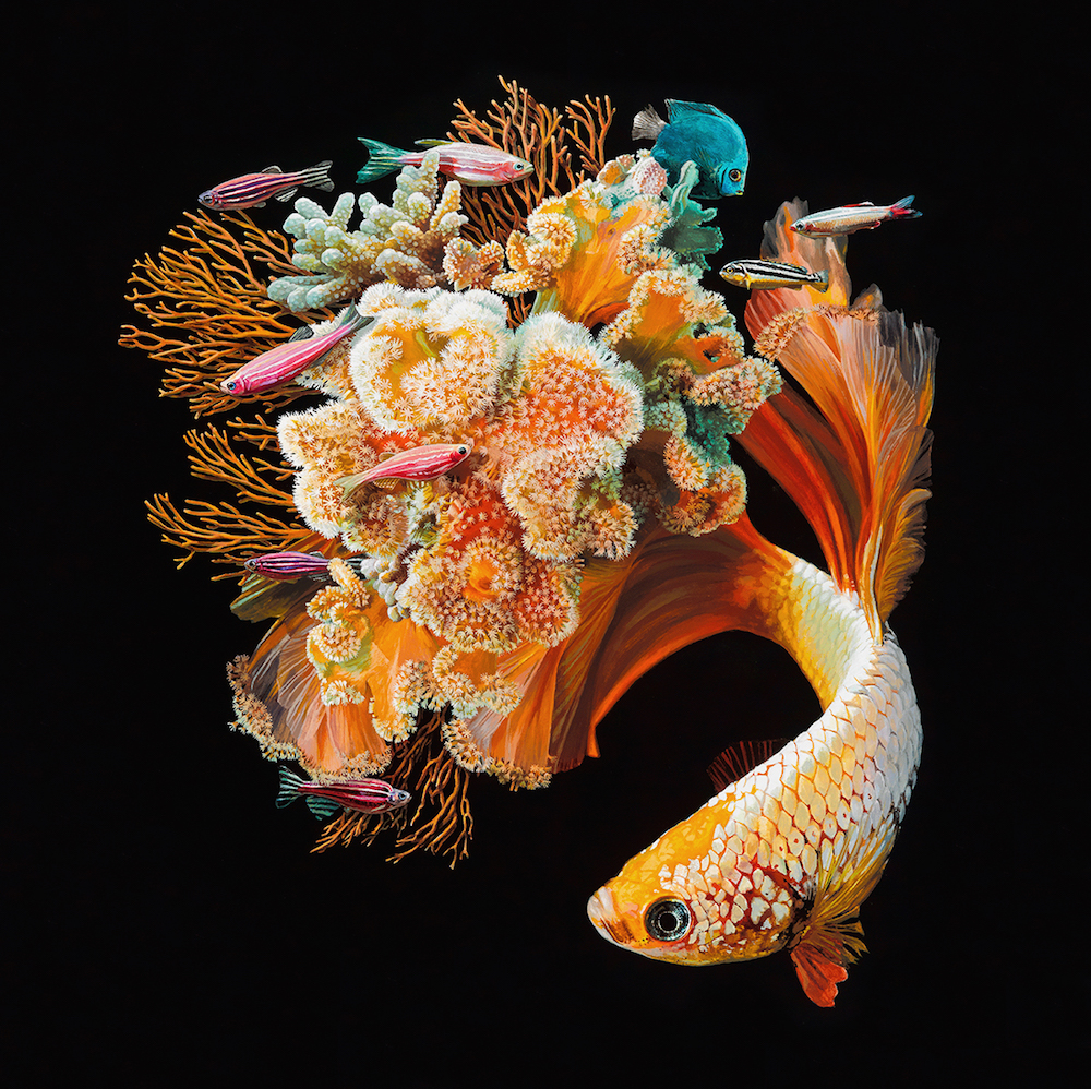 サンゴと融合した謎の美しい熱帯魚 Art ミライノシテン