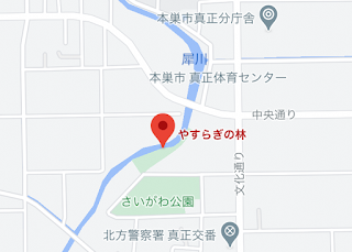 彼岸花 やすらぎの林 岐阜県本巣市MAP
