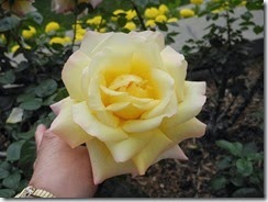 DSCN3560
