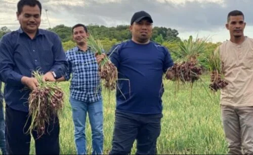 Sambangi Petani Bawang di Saney, Pj Bupati Aceh Besar Harapkan Produksi Meningkat