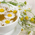 Chamomile Health Benefits And Nutrition Fact