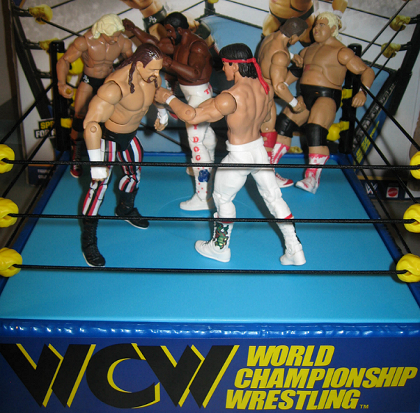 WWE, WWF, WCW Action Figures and Set Up - Etsy