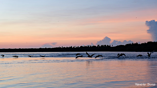 Barra de Potosí