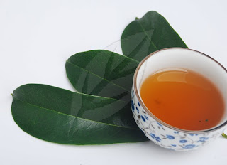 soursop tea cancer cure