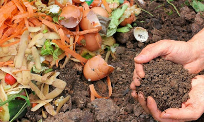 How to Make Fertilizer from Kitchen Waste