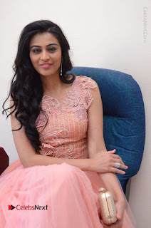 Actress Neha Hinge Stills in Pink Long Dress at Srivalli Teaser Launch  0075.JPG