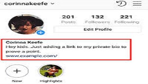 Bio Instagram