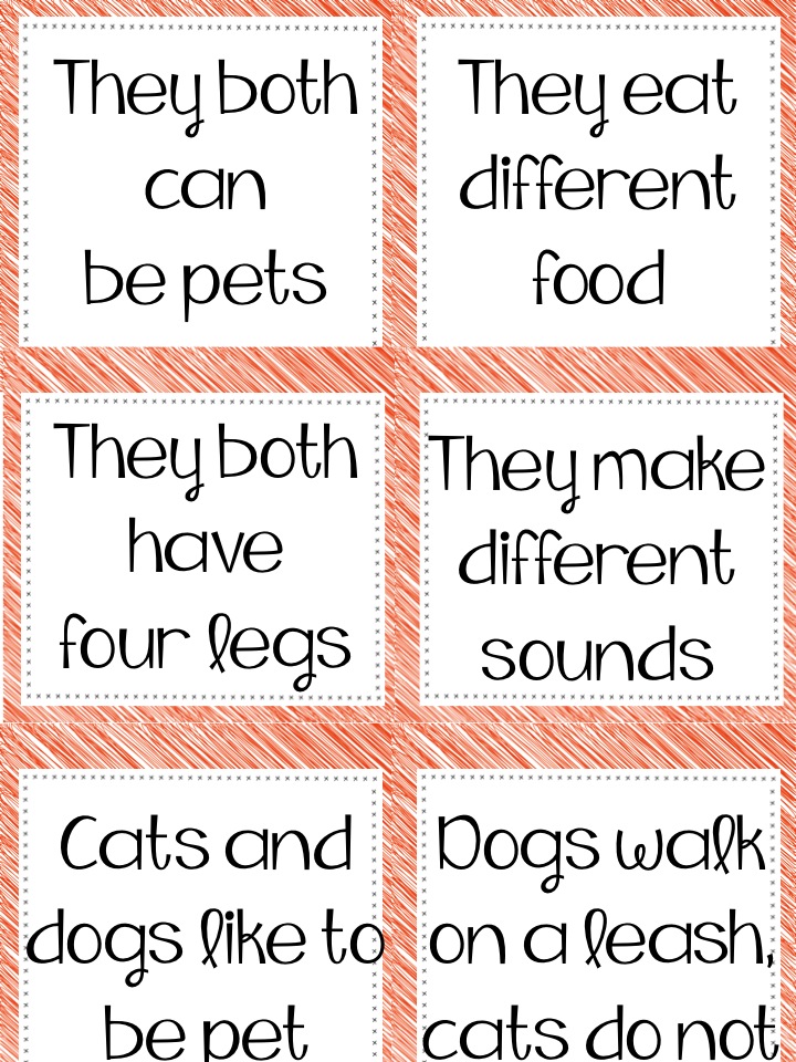 cats and dogs compare and contrast essay