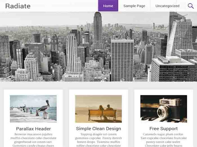 Radiate WordPress Theme Free Download