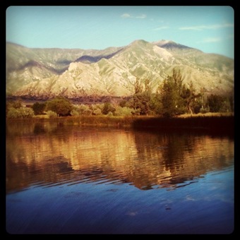 photo(7)