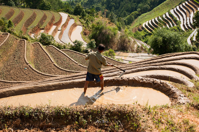 Best Vietnam Photo Trip For Rice Terrace Photography