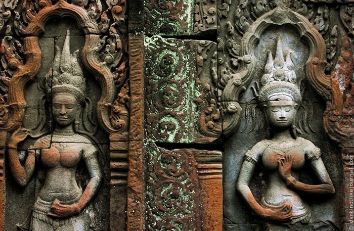 ta-prohm7 ta-prohm7