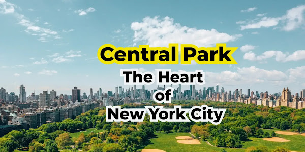Central Park|The Heart of New York City