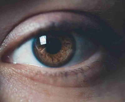 معرفة امراض الجسم من العين