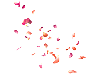 Some Flower's Effects Best PNG For Edditing