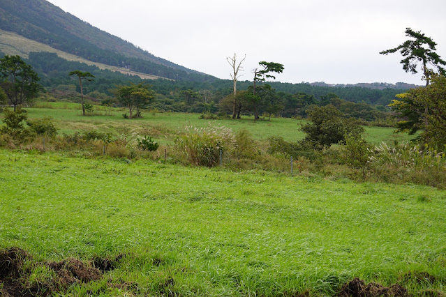 鳥取県西伯郡伯耆町小林　鳥取県道284号大山寺岸本線沿いの風景