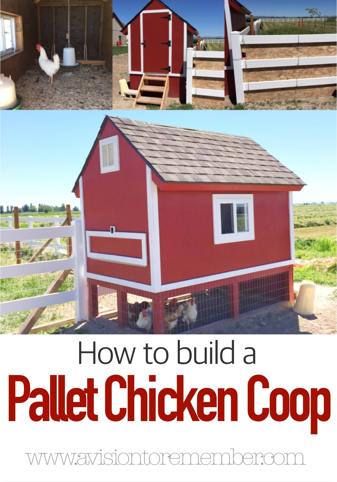 How to Build a Chicken Coop From Pallets A Vision to 