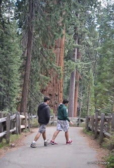 Goofing off on the trail
