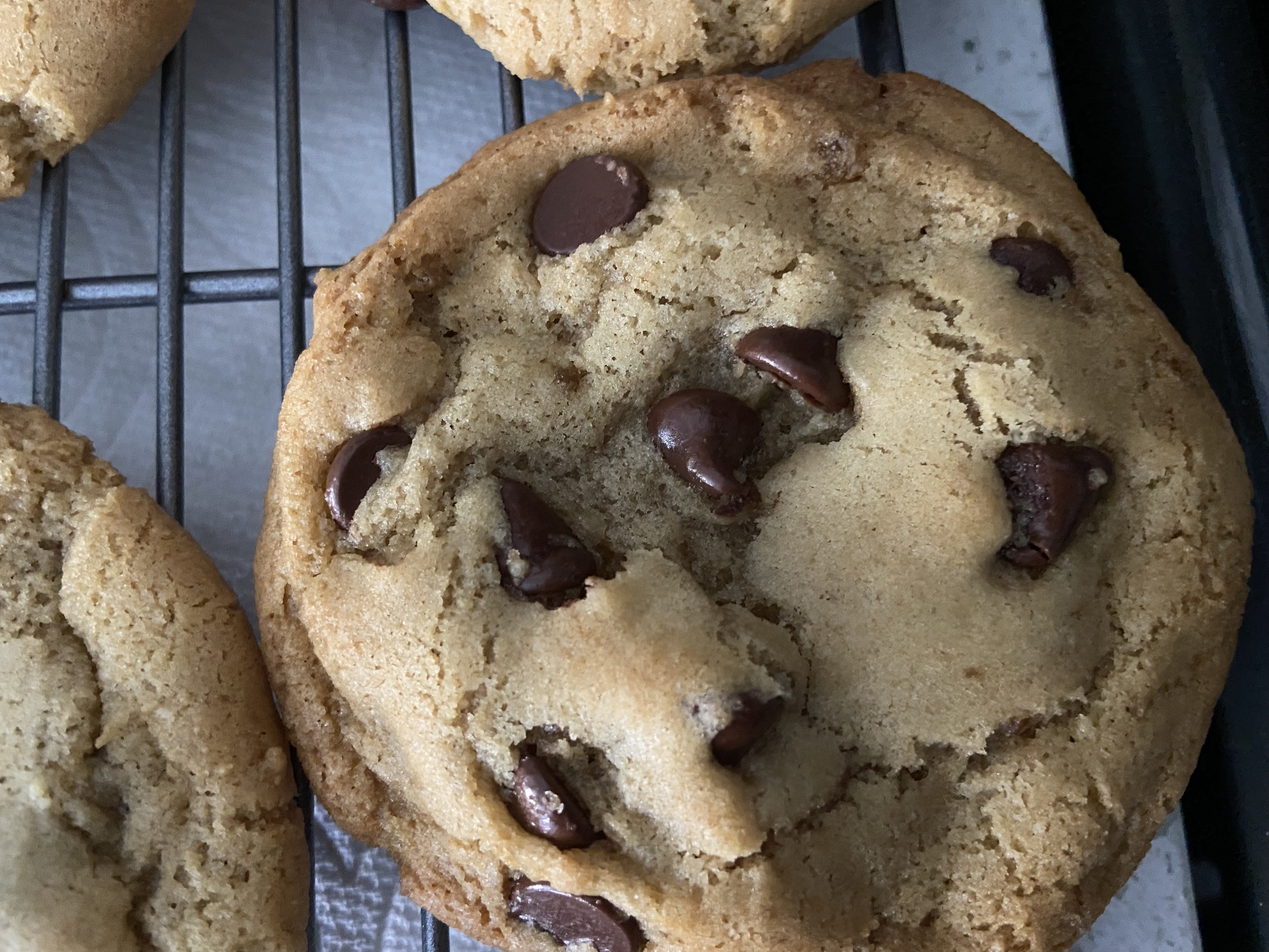 The Pastry Chef's Baking: Olive Oil Chocolate Chunk Cookies