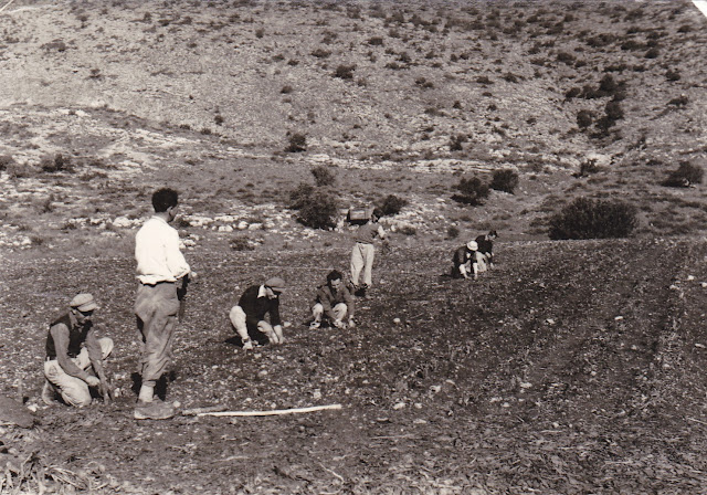 שבועות, קיבוץ, חניתה, גליל מערבי