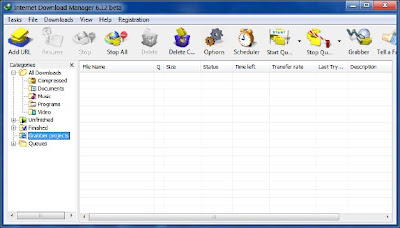 Internet Download Manager 6.12 Final Build 10 with Patch Free Download Full Version