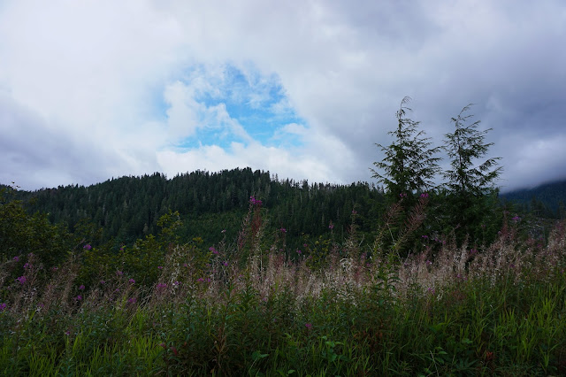 Brown-Mountain-Ketchikan-Alaska