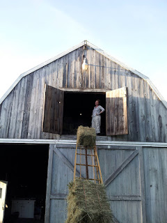 Conveyer moving a bale of hay to the barn door