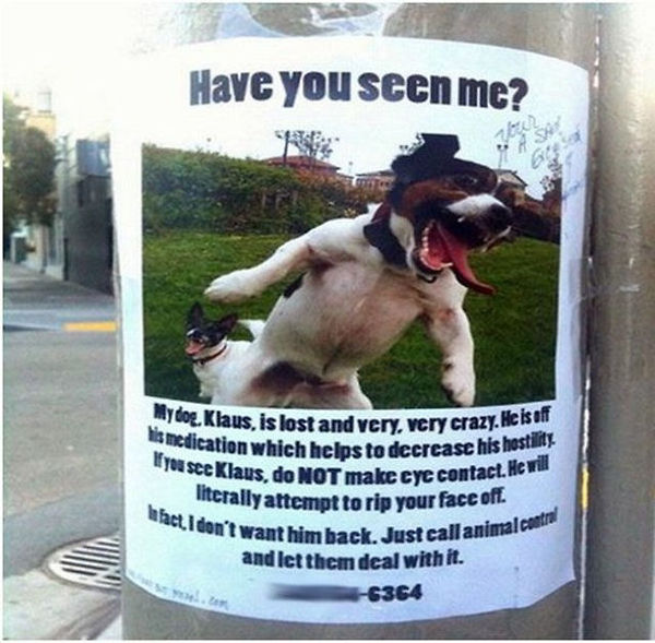 30 Funny Lost and Found Signs, funny missing signs, funny missing posters, funniest lost and found poster, creative lost and found flyers