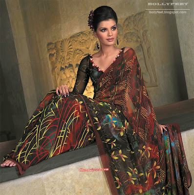 Beautiful Models in Sarees - 2010