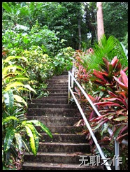 Picture 003