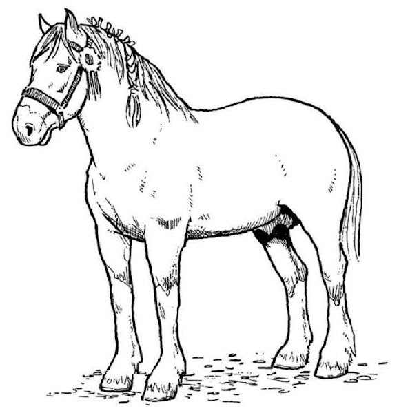 CAVALLO - disegno da stampare e colorare