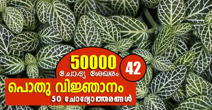 Kerala PSC | General Knowledge | 50000 Questions - 42