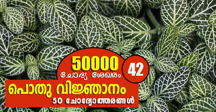 Kerala PSC | General Knowledge | 50000 Questions - 42