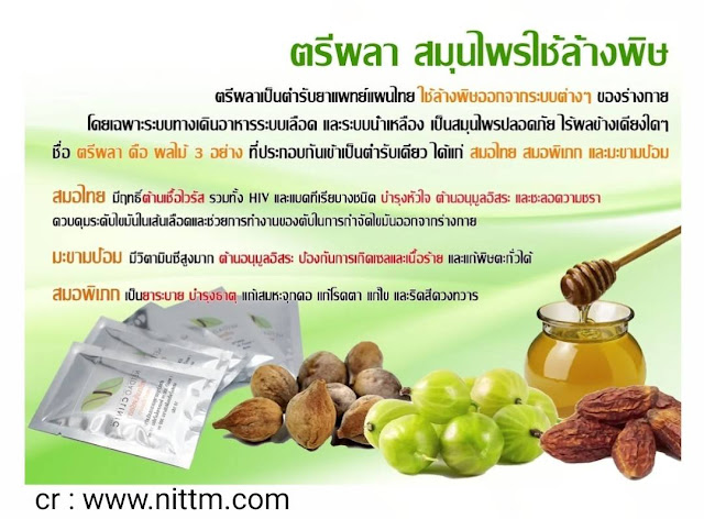 ตรีผลา สมุนไพรที่ประกอบด้วยผลไม้สามอย่างนั่นเอง คือ สมอภิเภก สมอไทย และมะขามป้อม