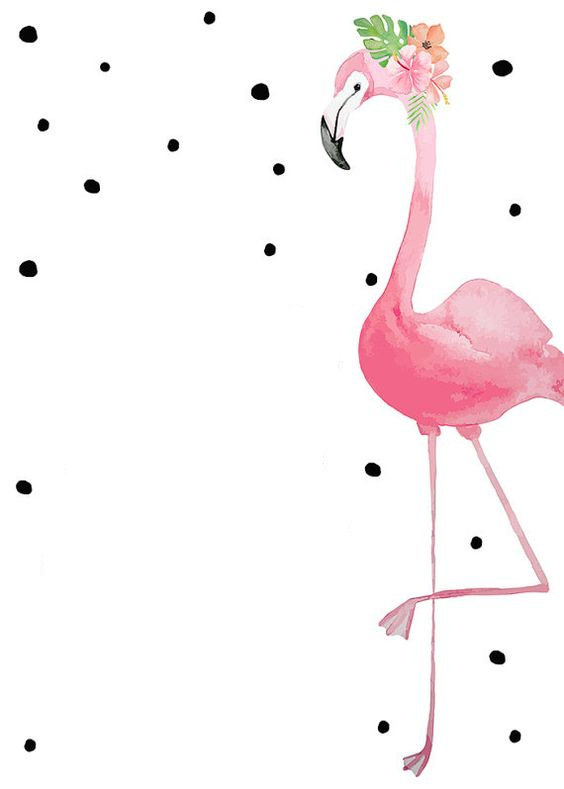 Convite Flamingo