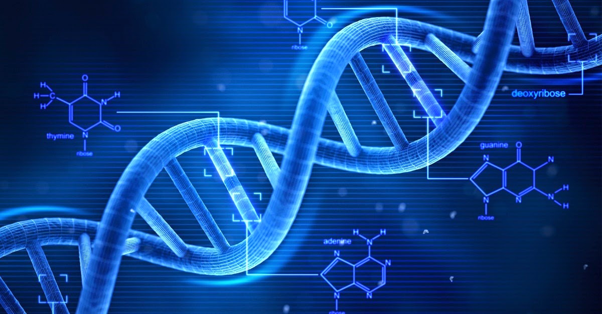 DNA